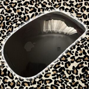 Apple Mouse Black